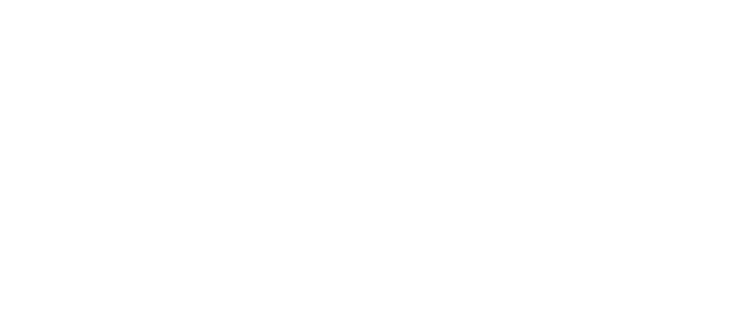 Logo Segla Negativa